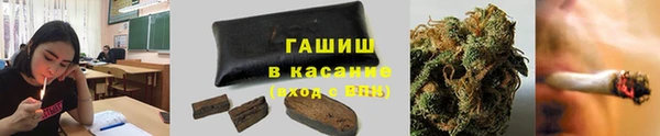 ГАЛЛЮЦИНОГЕННЫЕ ГРИБЫ Лабытнанги