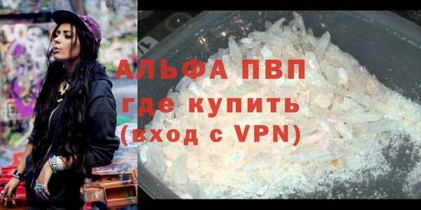 крисы Кулебаки