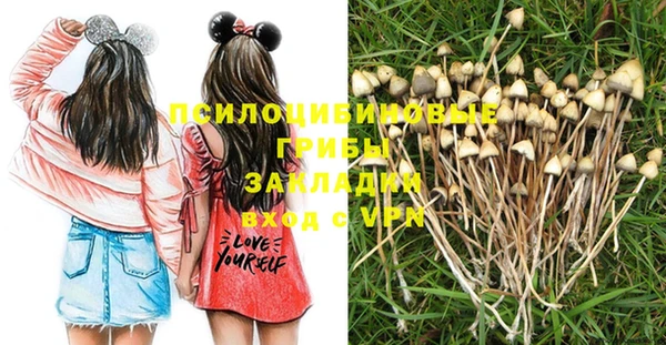 ГАЛЛЮЦИНОГЕННЫЕ ГРИБЫ Лабытнанги