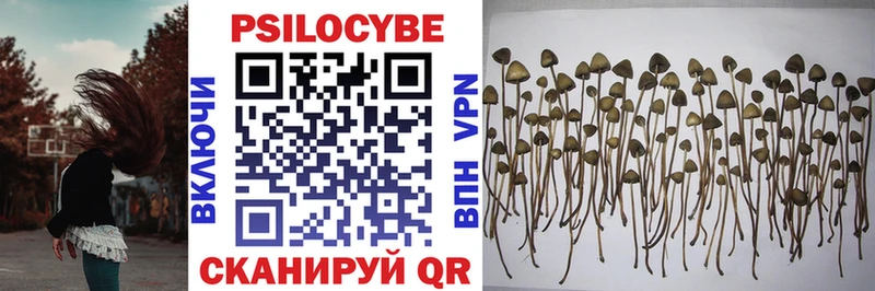 Галлюциногенные грибы MAGIC MUSHROOMS  как найти закладки  Ленинск-Кузнецкий 