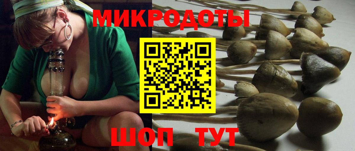 Галлюциногенные грибы Cubensis Ленинск-Кузнецкий