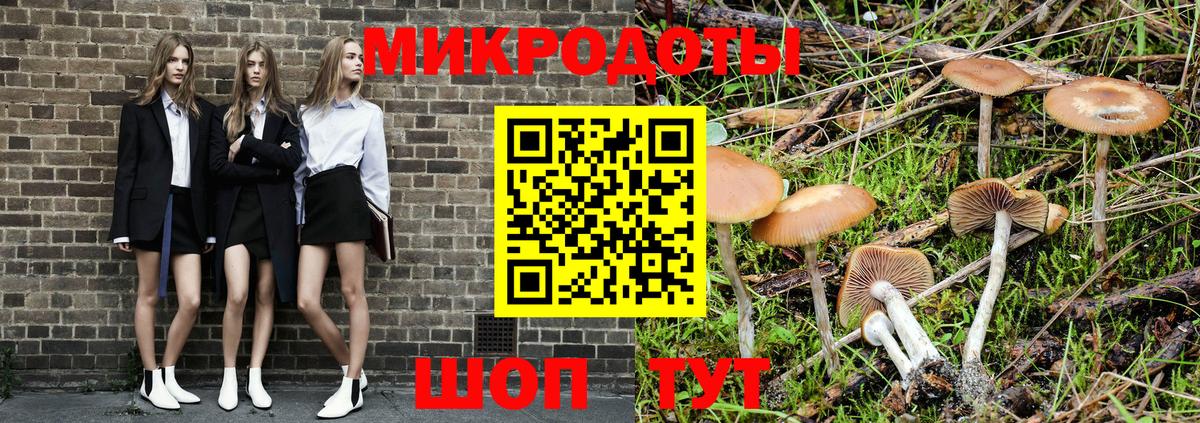 Ленинск-Кузнецкий  Псилоцибиновые грибы прущие грибы  Вход с VPN 